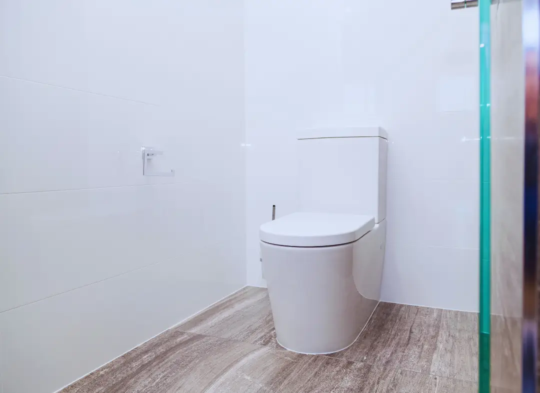 Remplacement de wc La Wantzenau